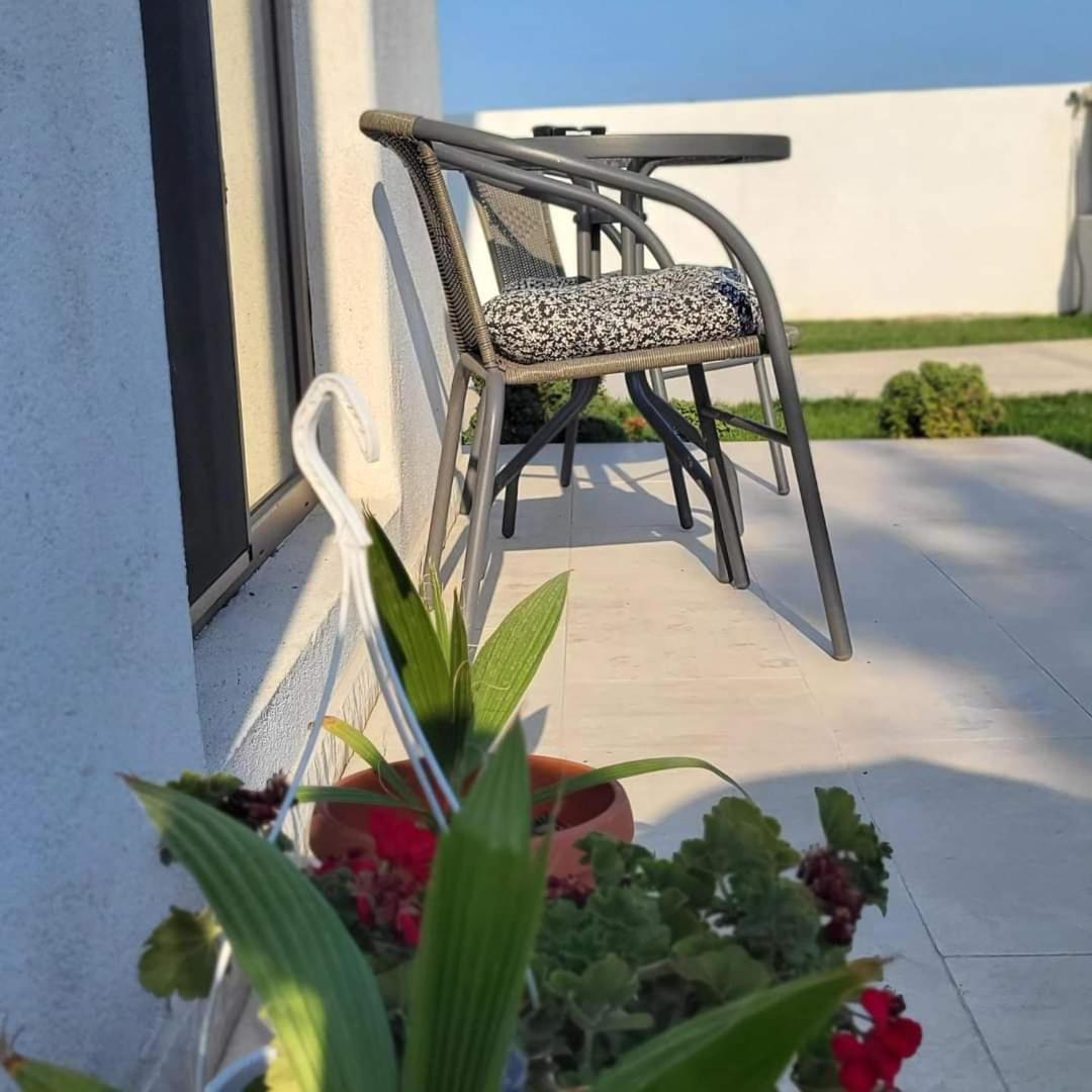 Hotel Casa Adiman Vama Veche Esterno foto